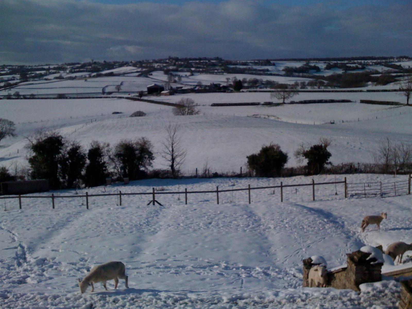 Gasthaus T'S At Lower Rudloe Farm Corsham Exterior foto