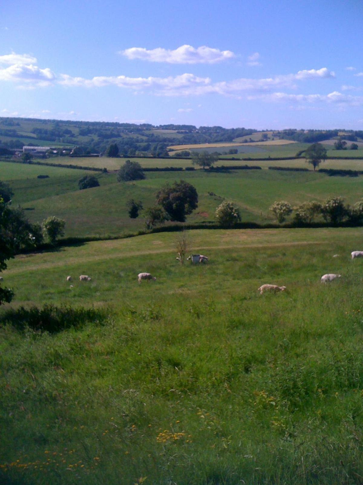 Gasthaus T'S At Lower Rudloe Farm Corsham Exterior foto